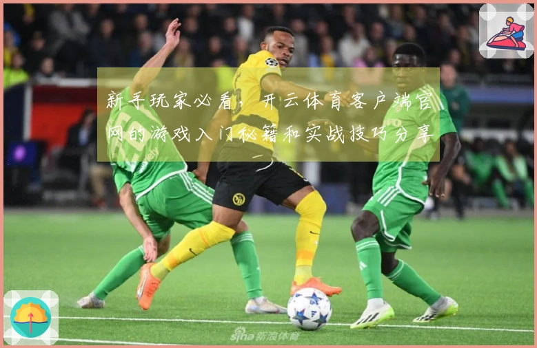 新手玩家必看，开云体育客户端官网的游戏入门秘籍和实战技巧分享