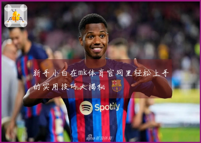 新手小白在mk体育官网里轻松上手的实用技巧大揭秘